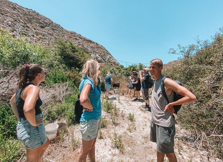 Picture 8 for Activity Karpathos: Easy Guided Nature and Culture Hike in Pigadia