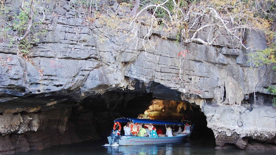 Langkawi: Mangrove Kilim UNESCO Geopark & Cave Tour