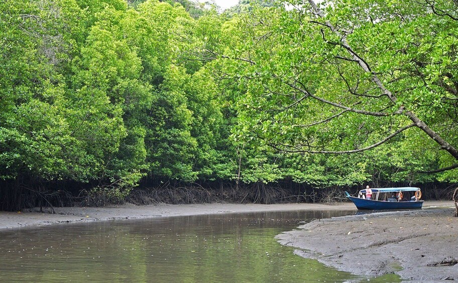 Picture 3 for Activity Langkawi: Mangrove Kilim UNESCO Geopark & Cave Tour