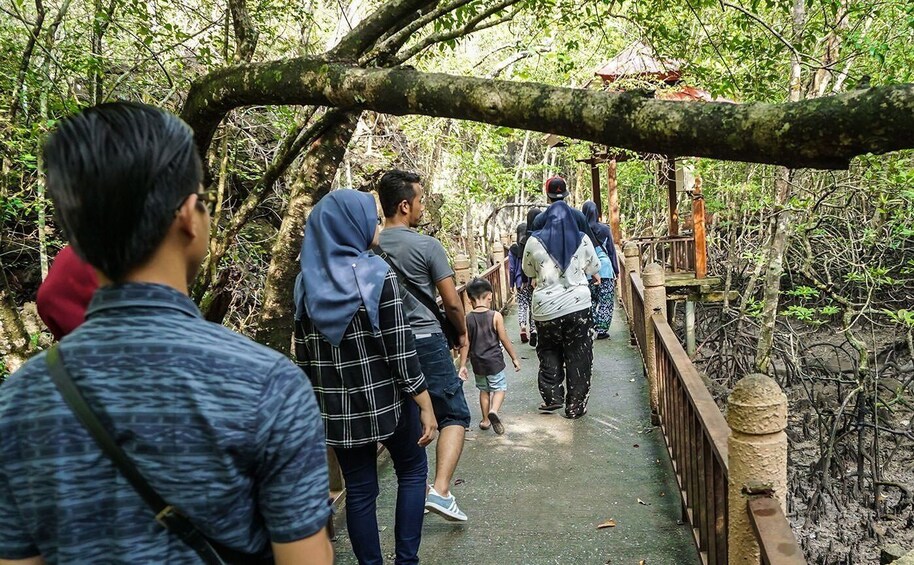 Picture 9 for Activity Langkawi: Mangrove Kilim UNESCO Geopark & Cave Tour