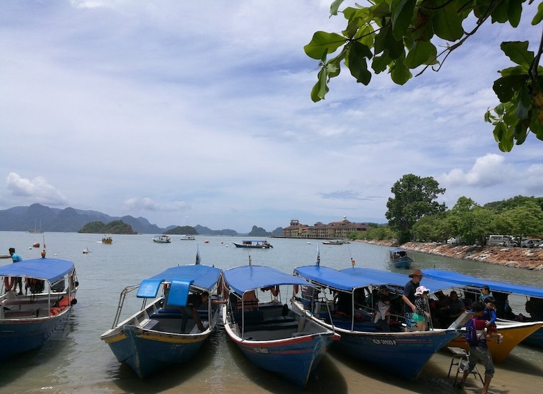 Picture 8 for Activity Langkawi: Mangrove Kilim UNESCO Geopark & Cave Tour