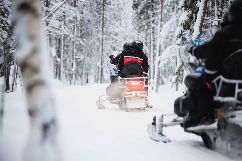 Rovaniemi: Arctic Circle Highlights by Snowmobile