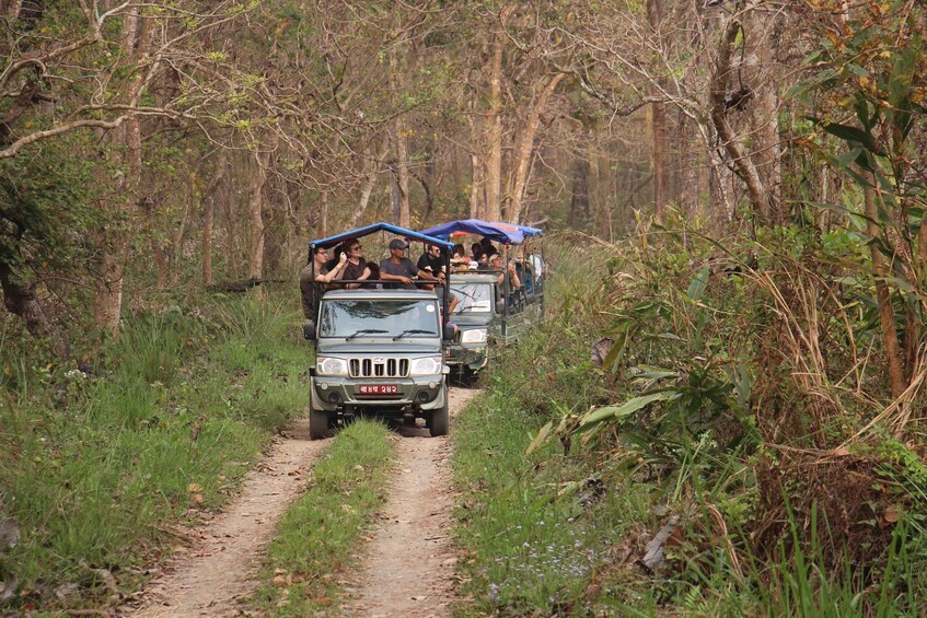 Picture 3 for Activity Kathmandu: 3-Day Chitwan Safari Tour with Hotel Transfers