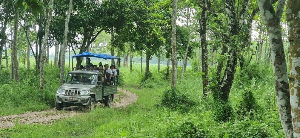 Picture 17 for Activity Kathmandu: 3-Day Chitwan Safari Tour with Hotel Transfers