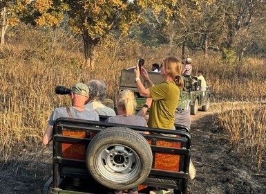 Katmandú: tour de safari de 3 días por Chitwan con traslados al hotel