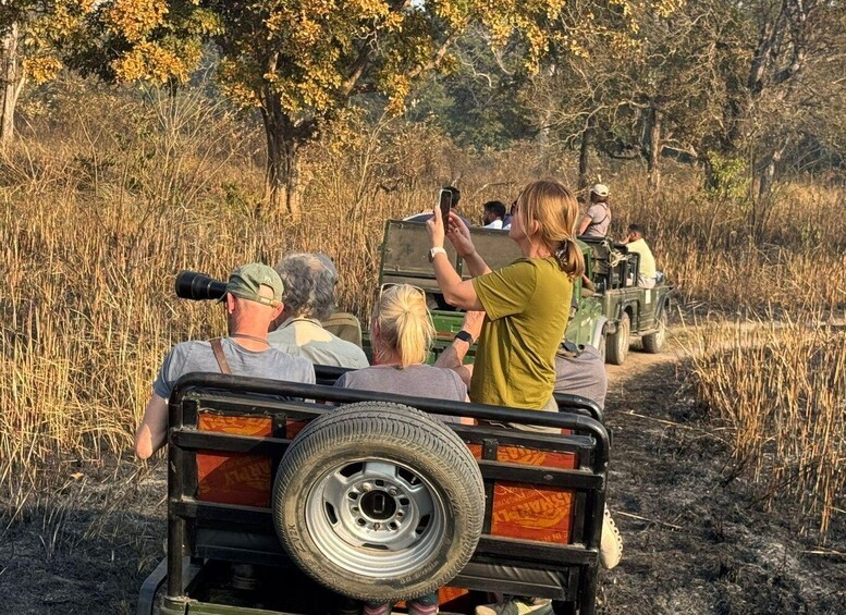 Picture 8 for Activity Kathmandu: 3-Day Chitwan Safari Tour with Hotel Transfers