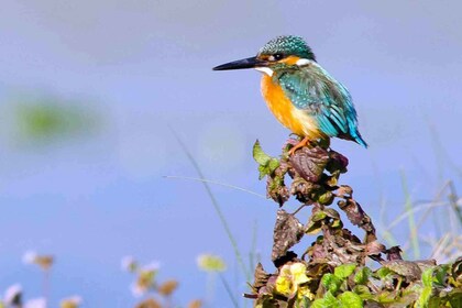Kathmandu: 3-Day Chitwan Safari Tour