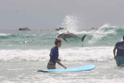 Miami: Clase de surf en grupo