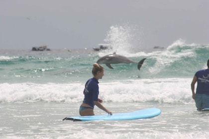 Miami: lección de surf en grupo