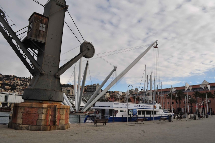 Picture 1 for Activity Genoa: Round Trip Boat Ticket In The Italian Riviera