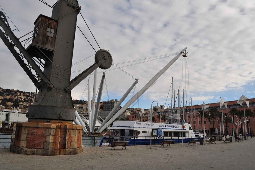 Picture 3 for Activity Genoa: Half-Day Tour to San Fruttuoso