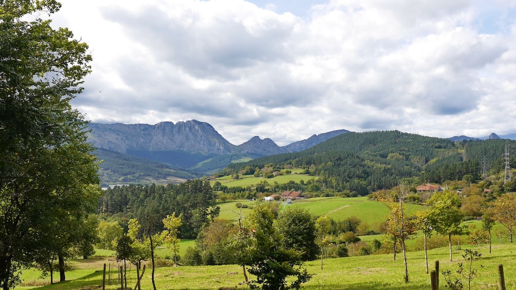 Half-Day Tour of Elorrio, Oñati & the Sanctuary of Arantzazu