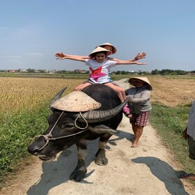 Hoi An: recorrido en bicicleta con clase de equitación de búfalos y fabrica...