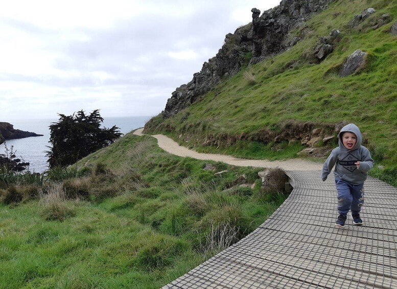 Picture 4 for Activity Christchurch: Godley Head & Lyttelton Guided Walking Tour