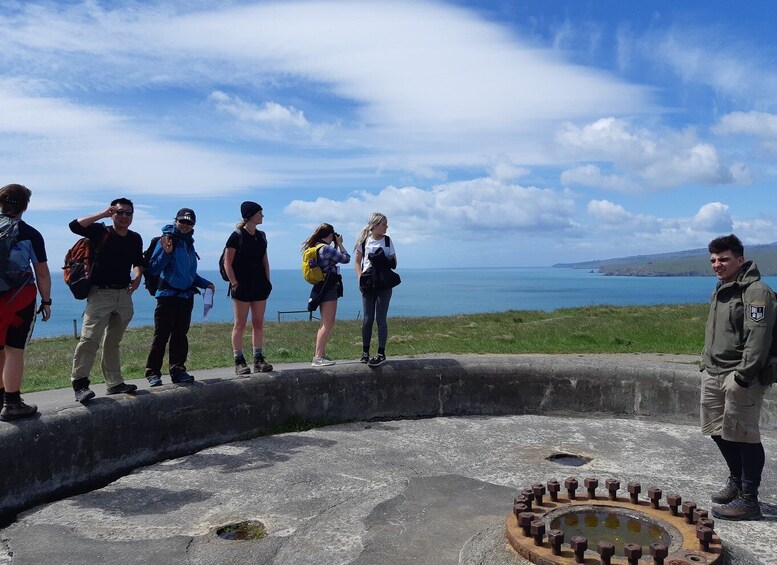 Picture 1 for Activity Christchurch: Godley Head & Lyttelton Guided Walking Tour