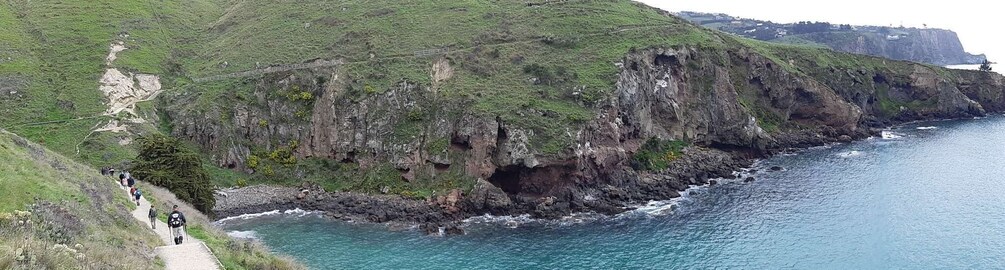 Picture 7 for Activity Christchurch: Godley Head & Lyttelton Guided Walking Tour