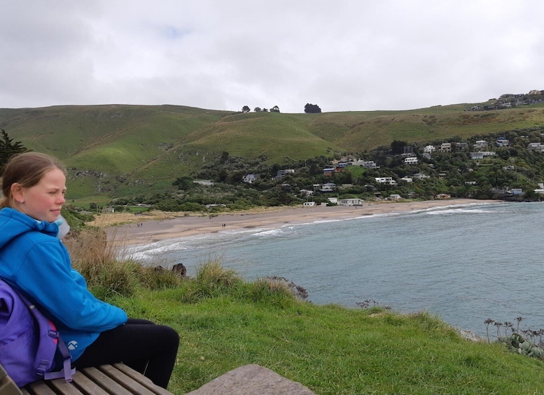 Picture 9 for Activity Christchurch: Godley Head & Lyttelton Guided Walking Tour