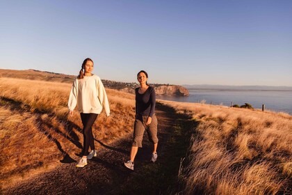 Christchurch : Godley Head et Lyttelton Visite guidée à pied