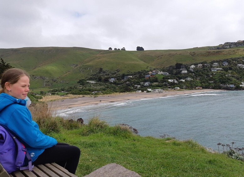 Picture 8 for Activity Christchurch: Godley Head & Lyttelton Guided Walking Tour