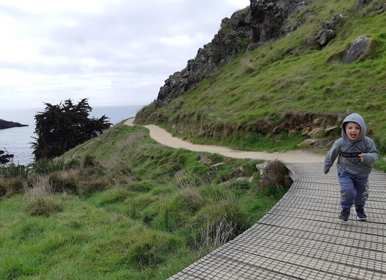 Picture 4 for Activity Christchurch: Godley Head & Lyttelton Guided Walking Tour