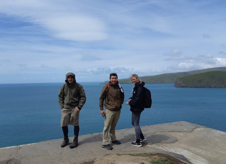 Picture 6 for Activity Christchurch: Godley Head & Lyttelton Guided Walking Tour