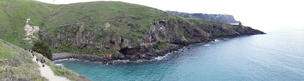 Picture 7 for Activity Christchurch: Godley Head & Lyttelton Guided Walking Tour