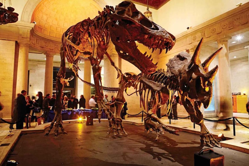 LA: Natural History Museum of Los Angeles County Ticket