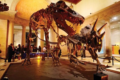 Los Angeles: Adgangsbillet til naturhistorisk museum i LA