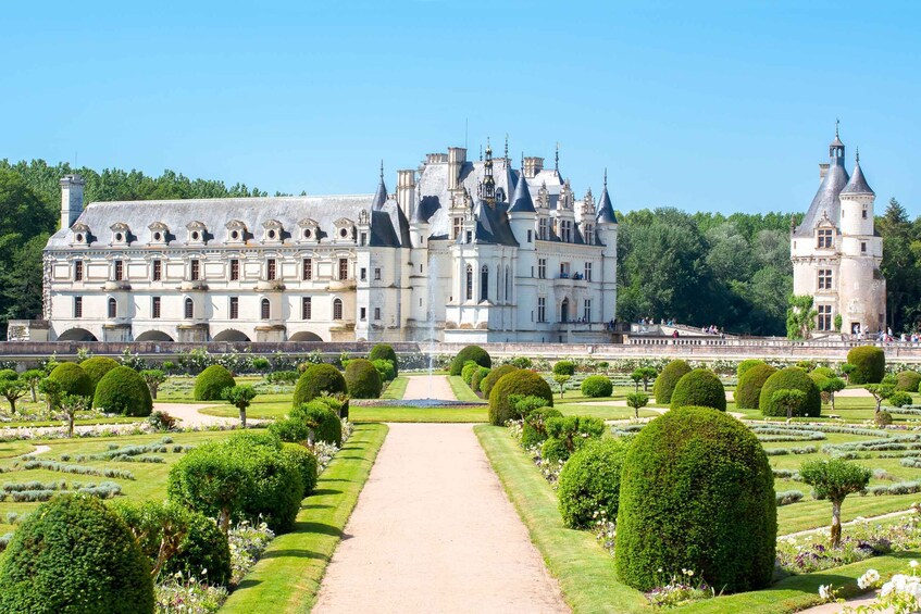 Picture 8 for Activity Chenonceau Castle Admission ticket