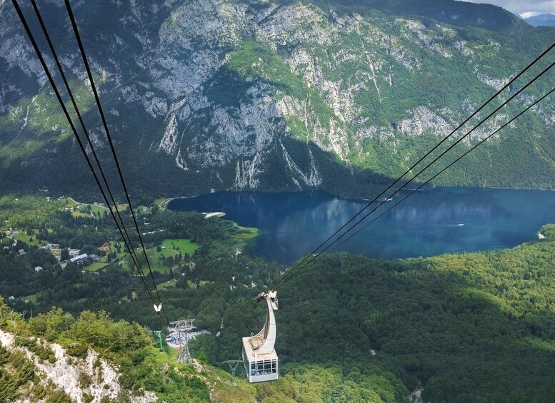 Picture 5 for Activity From Ljubljana: Lake Bled and Bohinj Trip