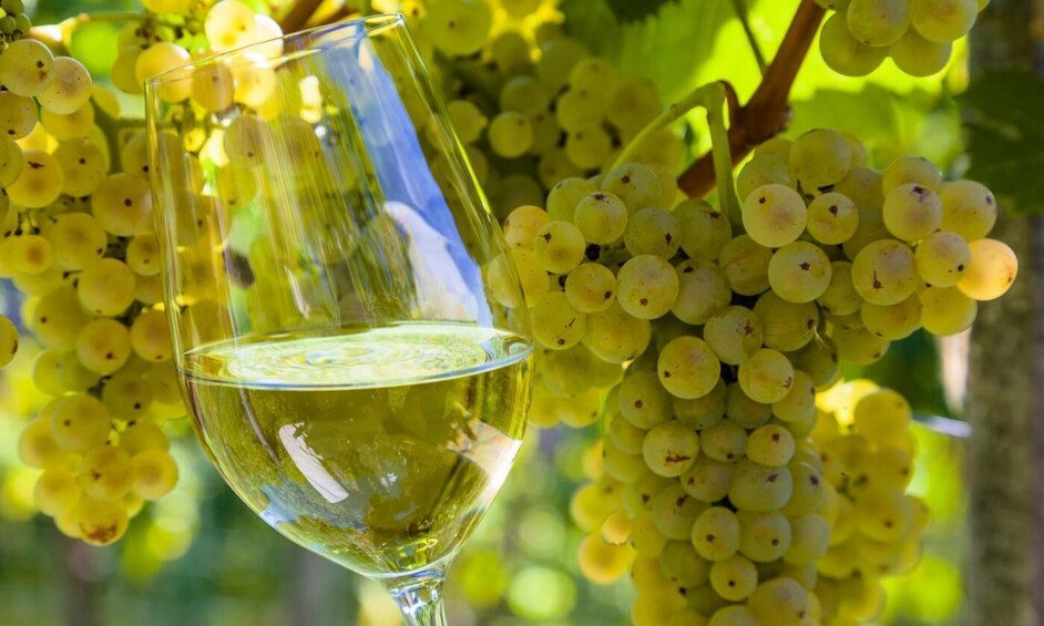 Picture 7 for Activity From Santiago: Tour to Rias Baixas with Boat, Seafood & Wine