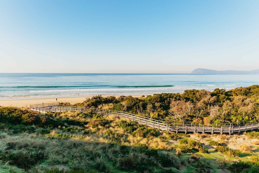 Picture 4 for Activity From Hobart/Adventure Bay: Bruny Island Wilderness Cruise