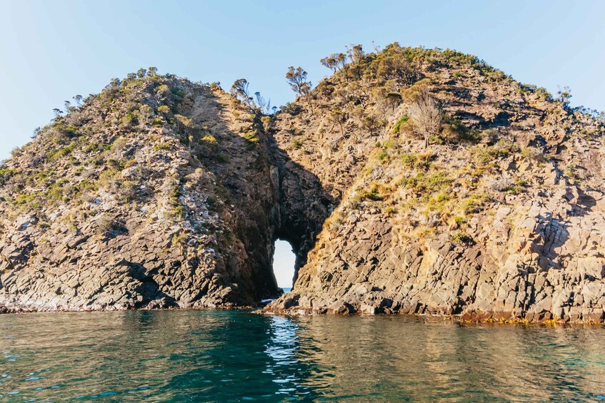 Picture 16 for Activity From Hobart/Adventure Bay: Bruny Island Wilderness Cruise