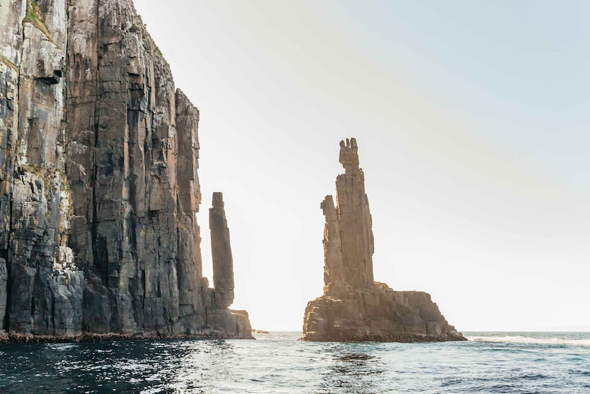 Picture 14 for Activity From Hobart/Adventure Bay: Bruny Island Wilderness Cruise