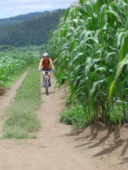 Picture 4 for Activity San Andrés Itzapa Half-Day Mountain Bike Tour