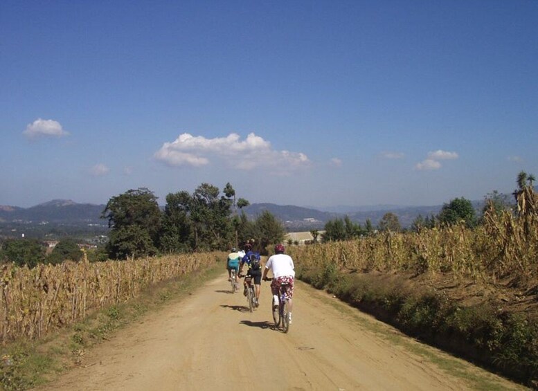 Picture 7 for Activity San Andrés Itzapa Half-Day Mountain Bike Tour