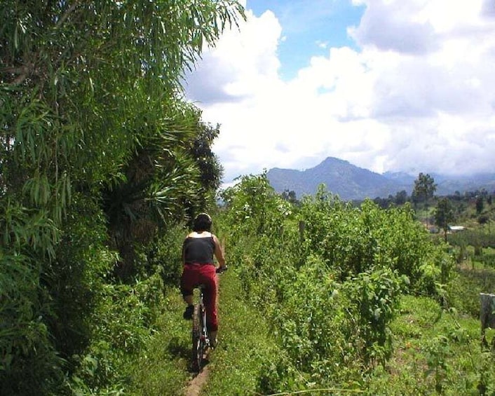 Picture 5 for Activity San Andrés Itzapa Half-Day Mountain Bike Tour