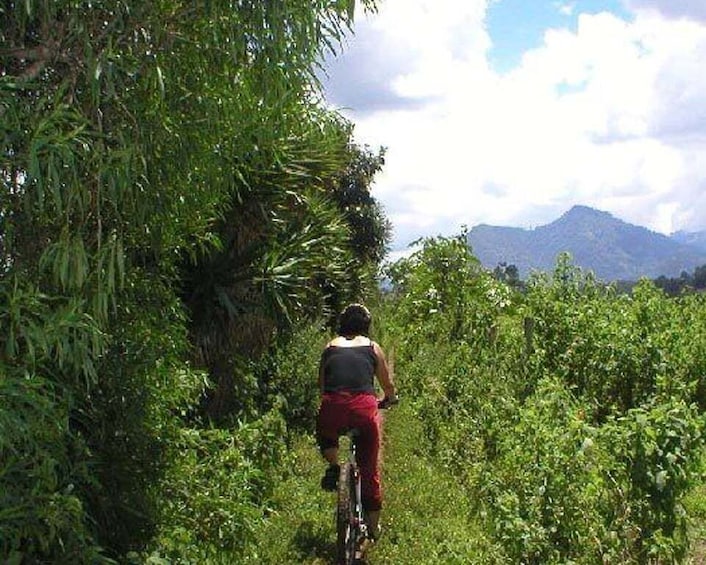 Picture 5 for Activity San Andrés Itzapa Half-Day Mountain Bike Tour