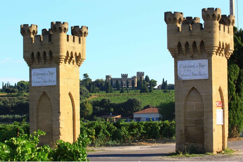 Picture 6 for Activity Avignon: Full-Day Wine Tour around Châteauneuf-du-Pape