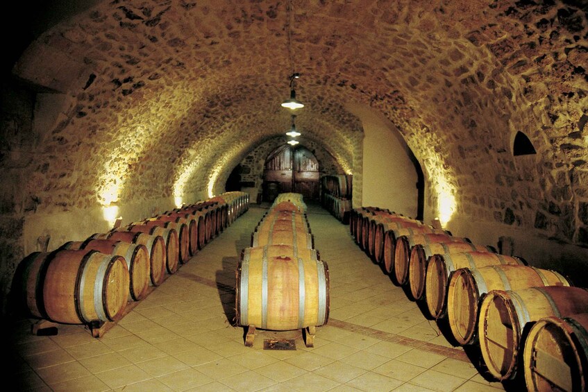 Picture 4 for Activity Avignon: Full-Day Wine Tour around Châteauneuf-du-Pape