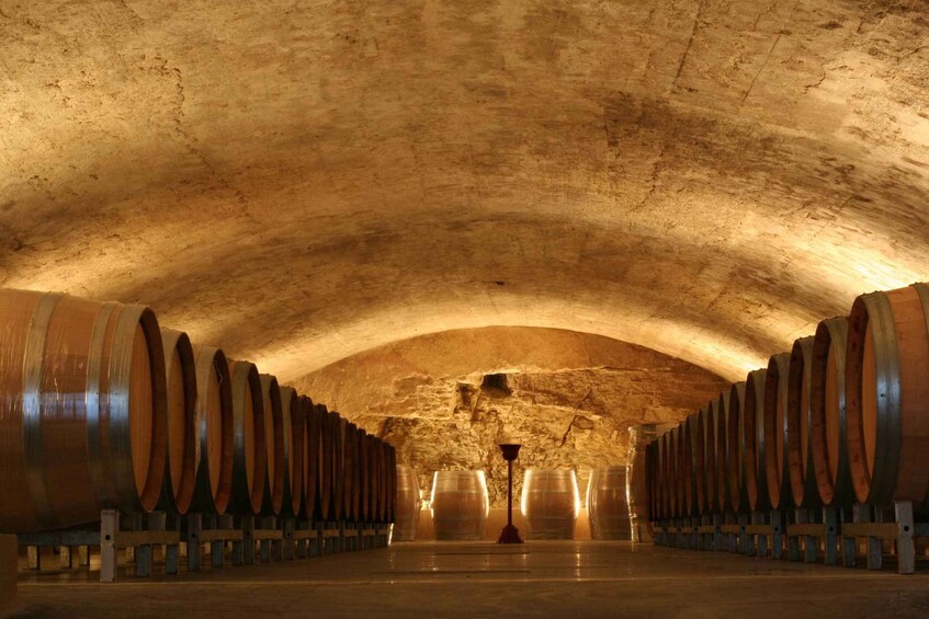 Picture 2 for Activity Avignon: Full-Day Wine Tour around Châteauneuf-du-Pape