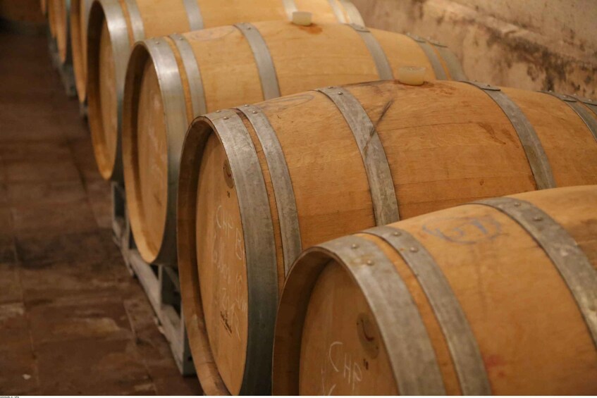 Picture 5 for Activity Avignon: Full-Day Wine Tour around Châteauneuf-du-Pape