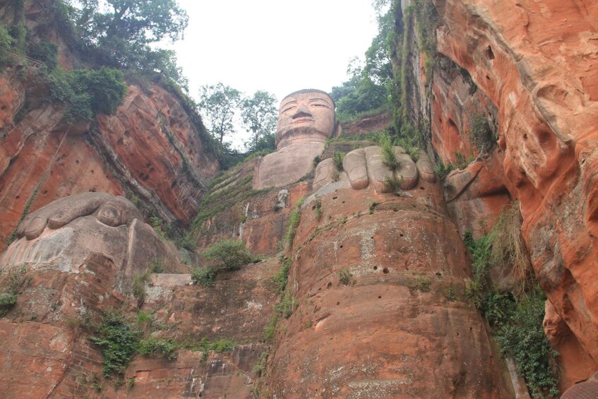 Picture 9 for Activity Full-Day Tour of Leshan's Giant Buddha from Chengdu