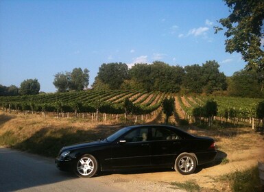 Montefalco und Bevagna Weinverkostung Ganztägige Tour