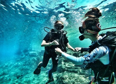 Malta: Lezione di immersione subacquea ed escursione guidata a St. Paul's B...