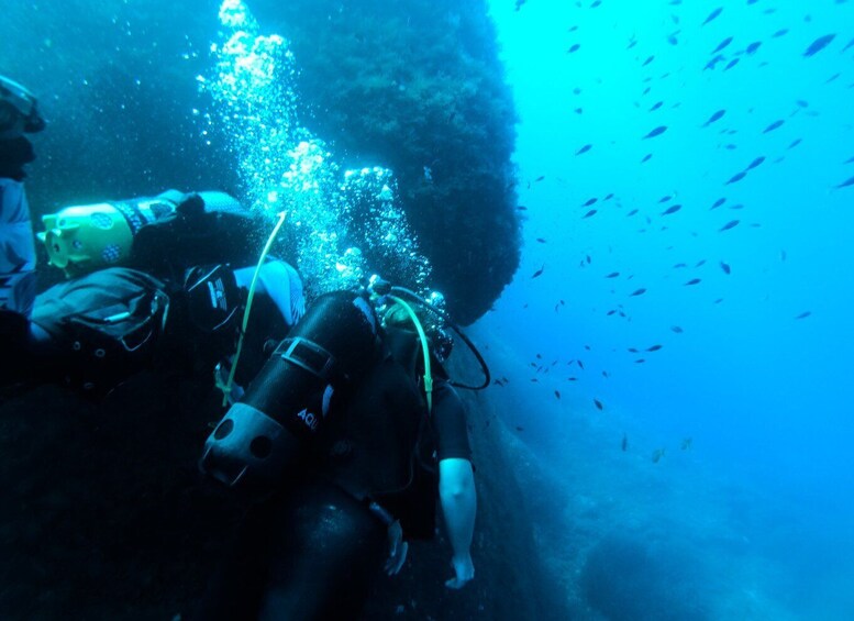 Picture 2 for Activity Malta: Scuba Diving Lesson & Guided Excursion