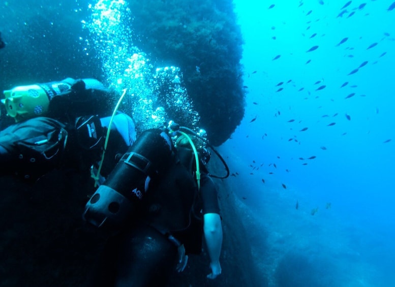 Picture 2 for Activity Malta: St. Paul's Bay Scuba Diving Lesson & Guided Excursion