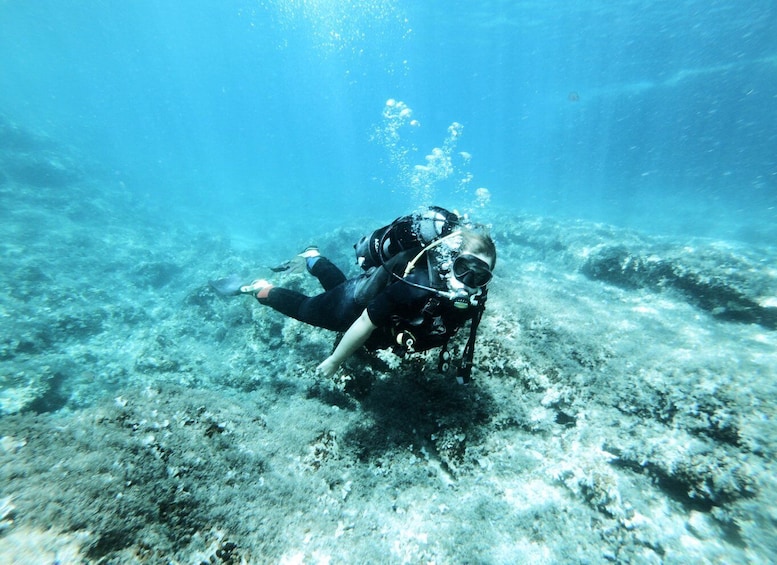 Picture 3 for Activity Malta: Scuba Diving Lesson & Guided Excursion