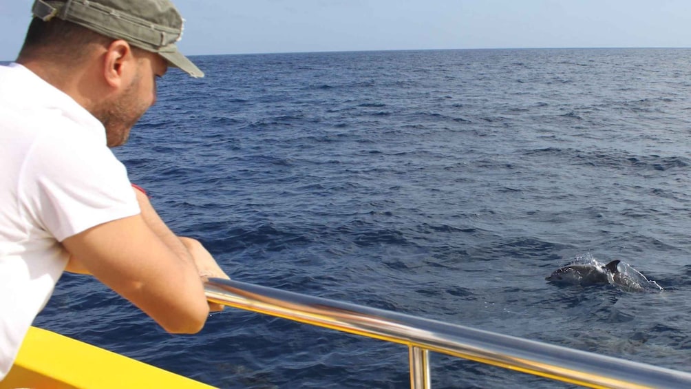 Picture 3 for Activity Lanzarote: 2.5-Hour Sunset and Dolphins Cruise