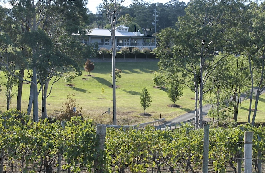 Picture 10 for Activity Hunter Valley: Tulloch Wine Tasting and Chocolate Pairings